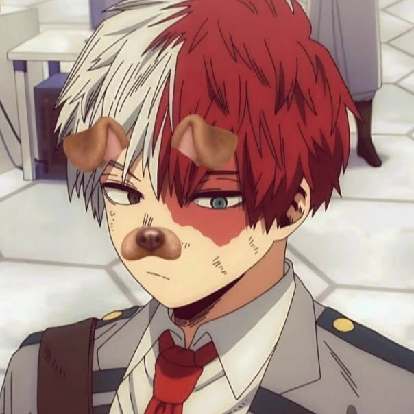Shoto Todoroki thumbnail