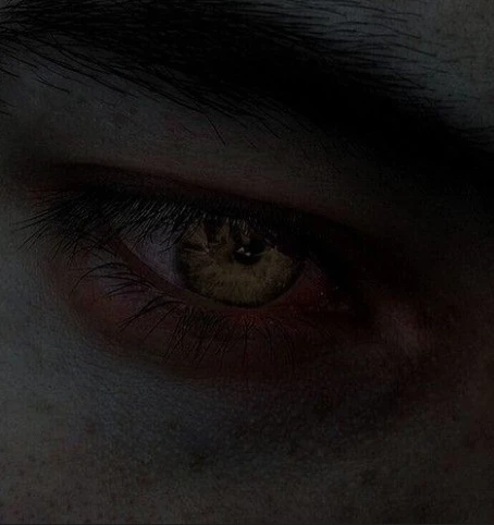 Lycus thumbnail