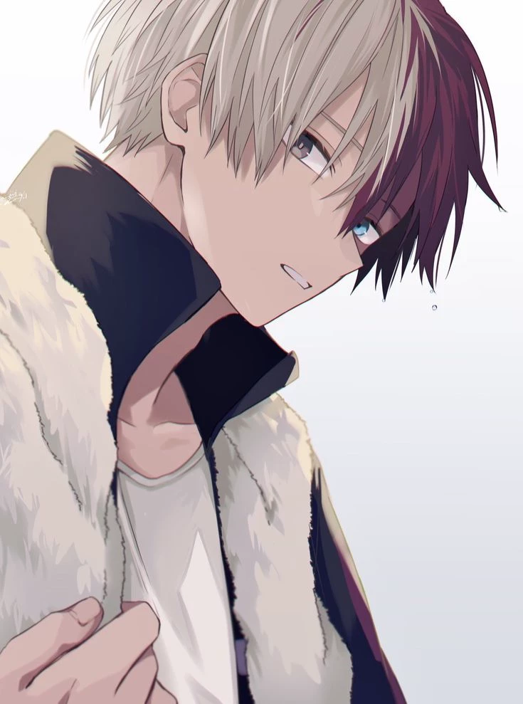 Shot Todoroki thumbnail