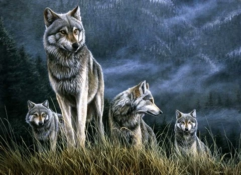 Wolf Pack thumbnail