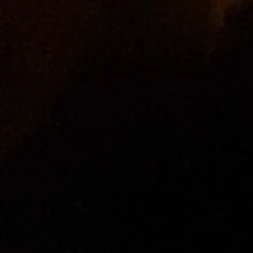 Carl Gallagher thumbnail