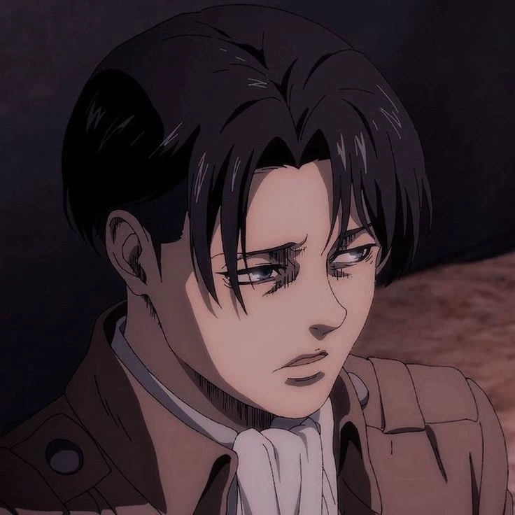 Levi Ackerman ( =＾ω＾) thumbnail