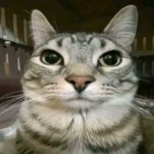 Jozxito