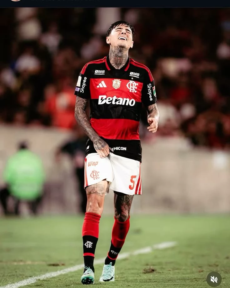 Erick Pulgar thumbnail