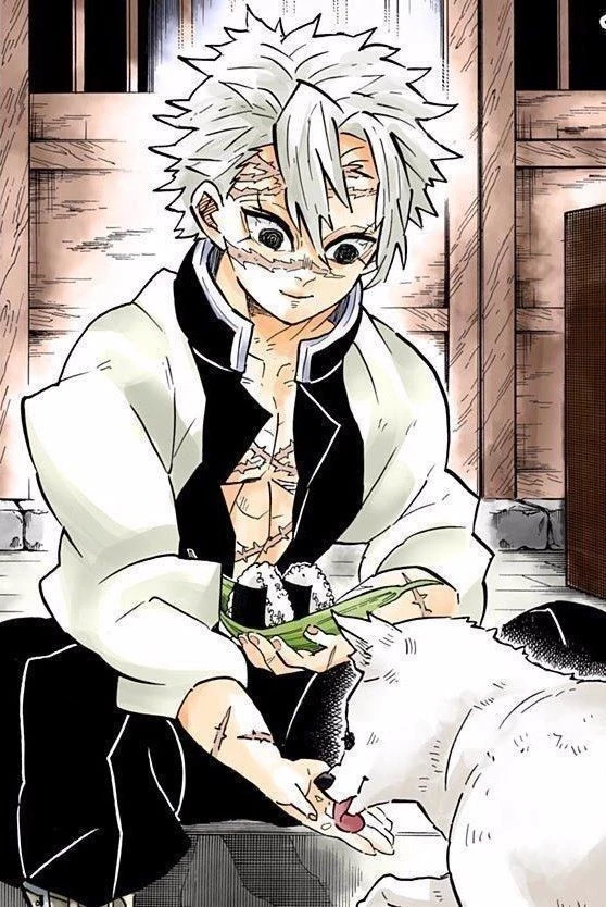 Sanemi🍃 thumbnail