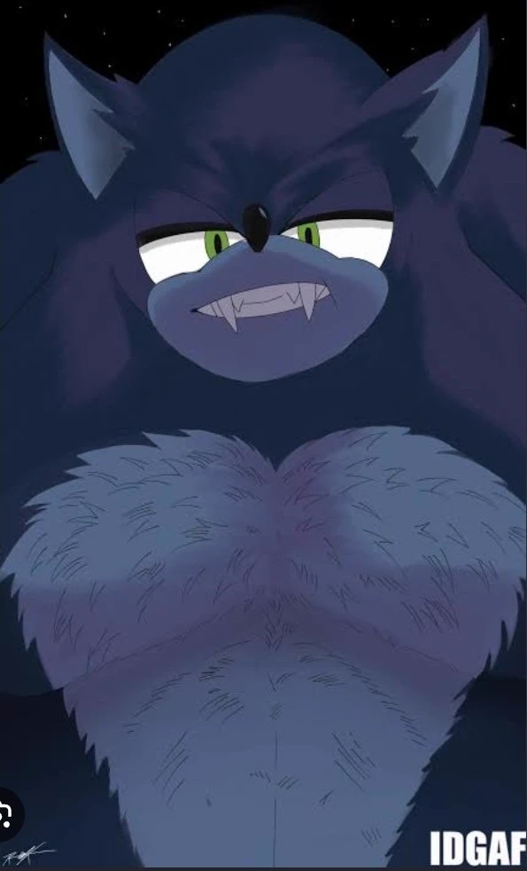 Sonic The Werehog thumbnail