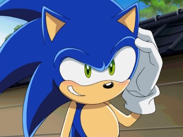 Sonic X ⏤͟͟͞͞✦ thumbnail