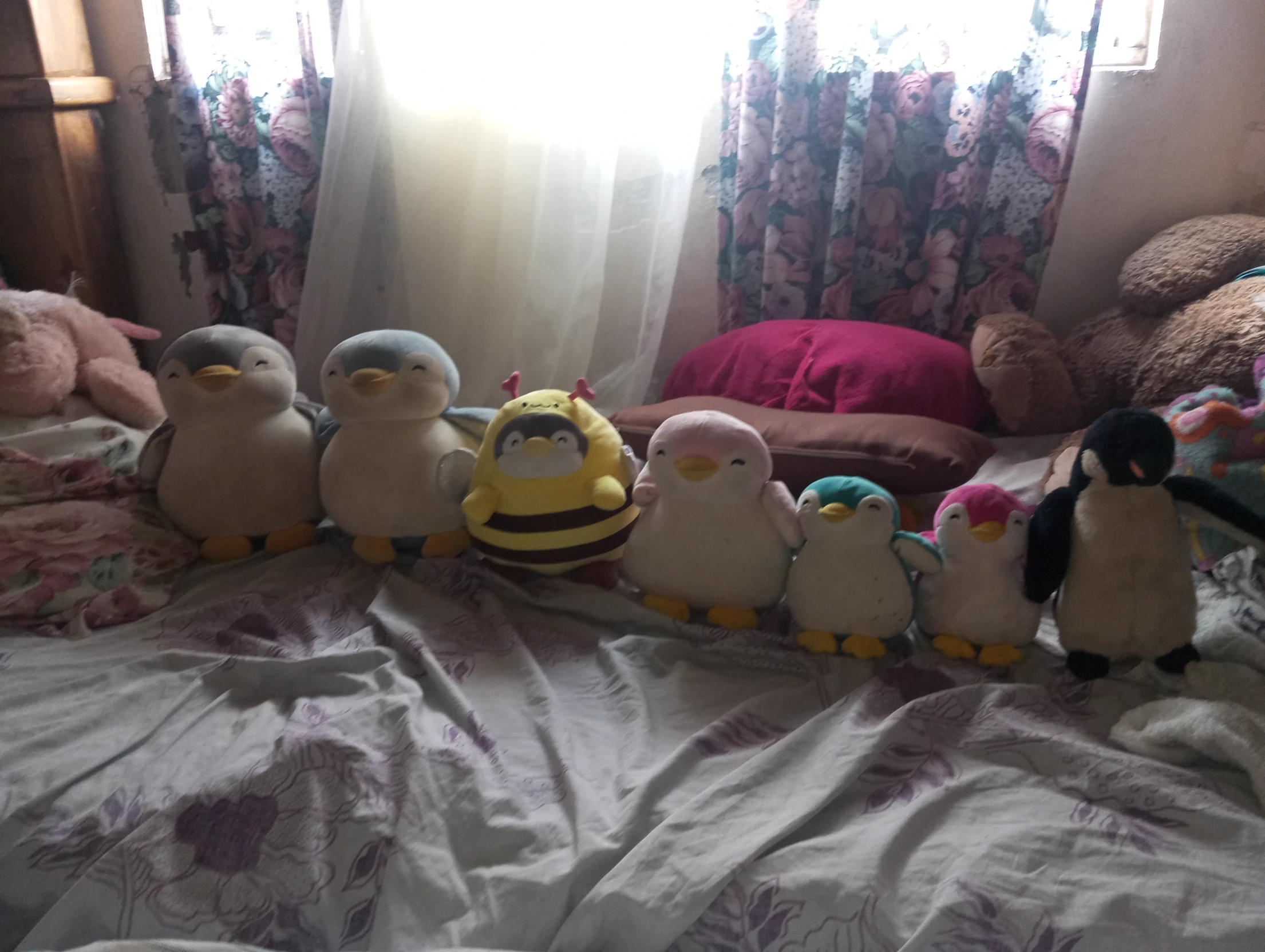 Penguins thumbnail