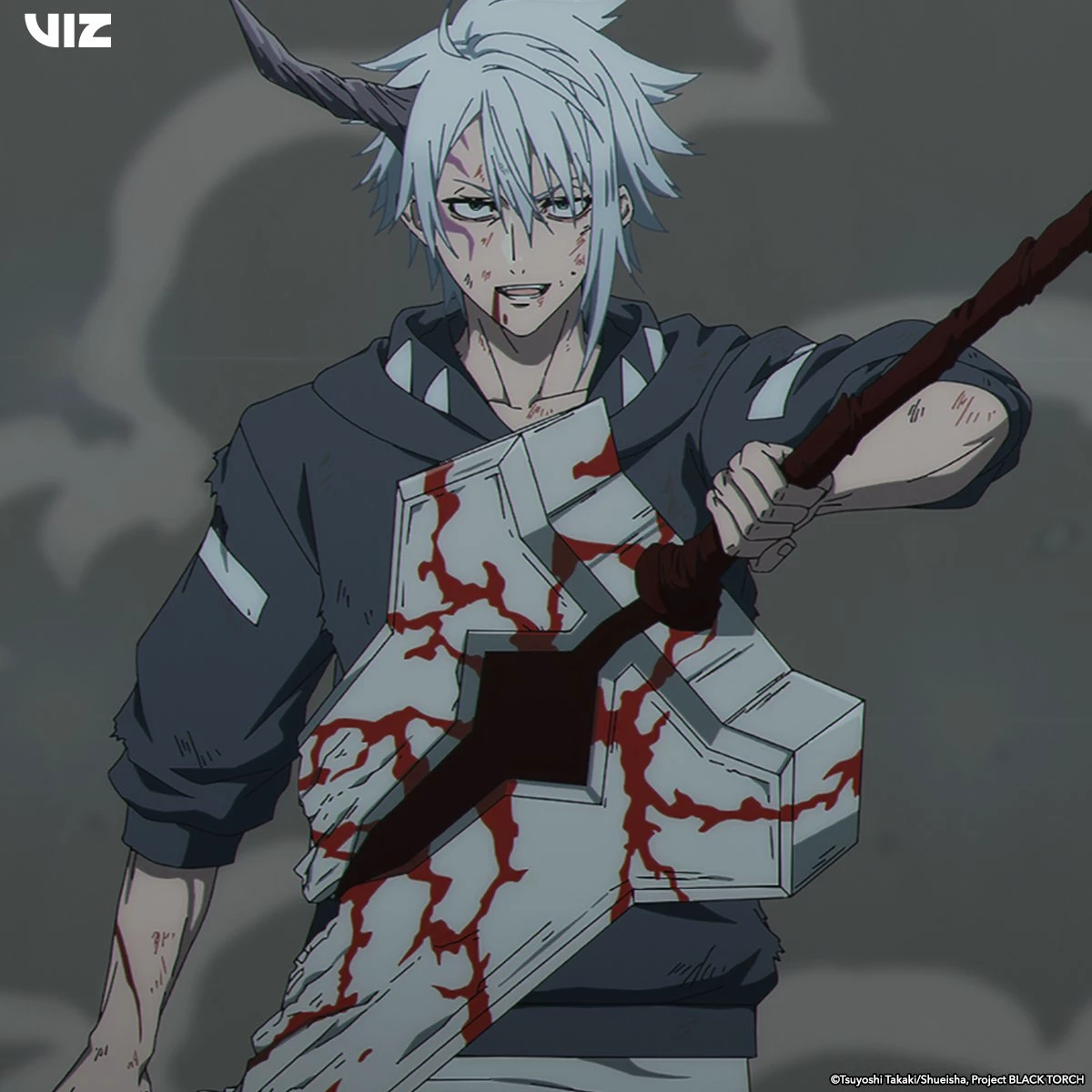 Koga Black Torch thumbnail