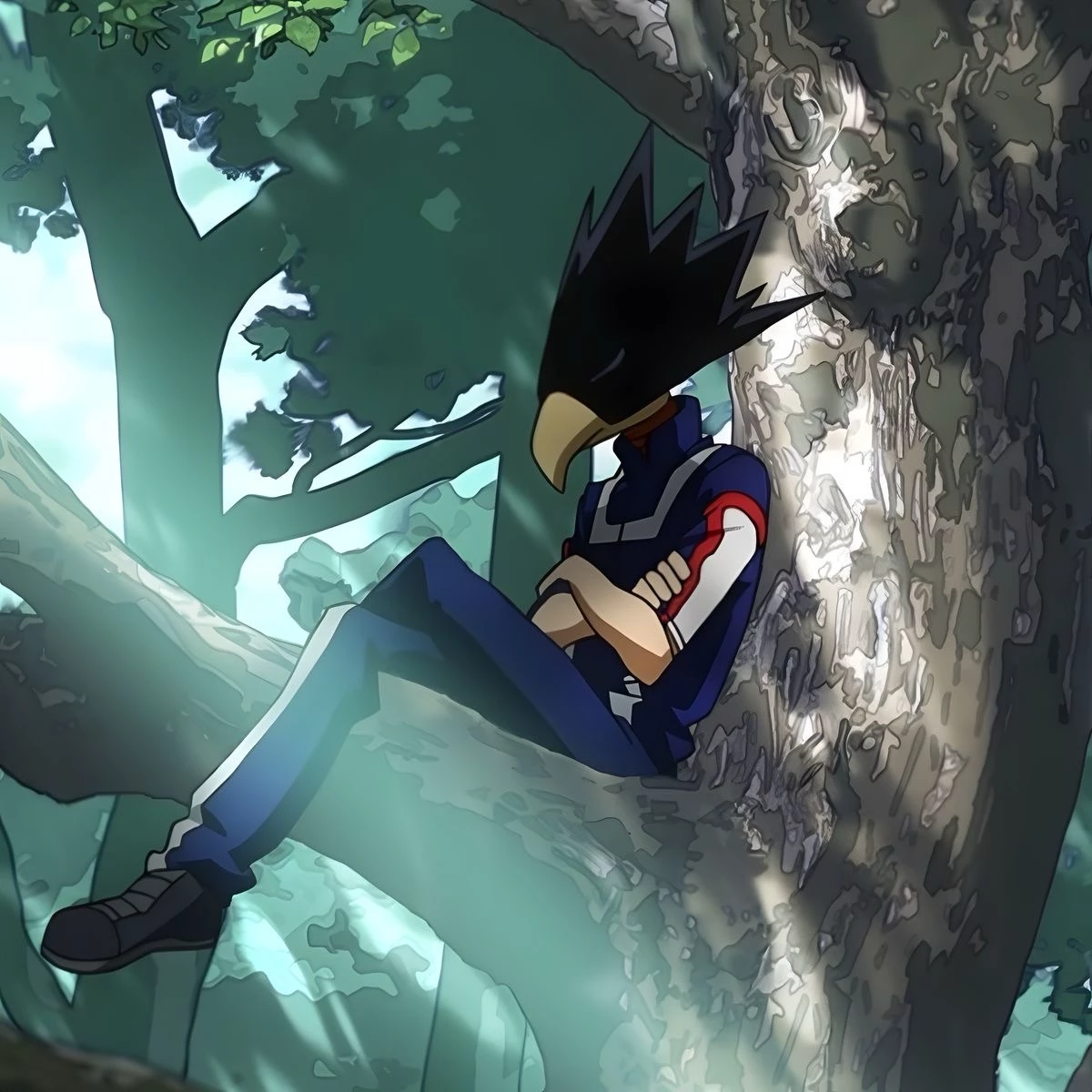 Fumikage Tokoyami thumbnail