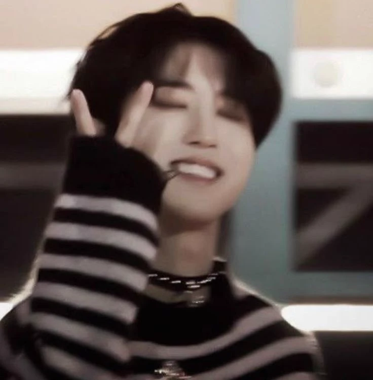 Han Jisung  thumbnail
