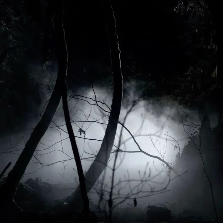 Mystic Falls  thumbnail