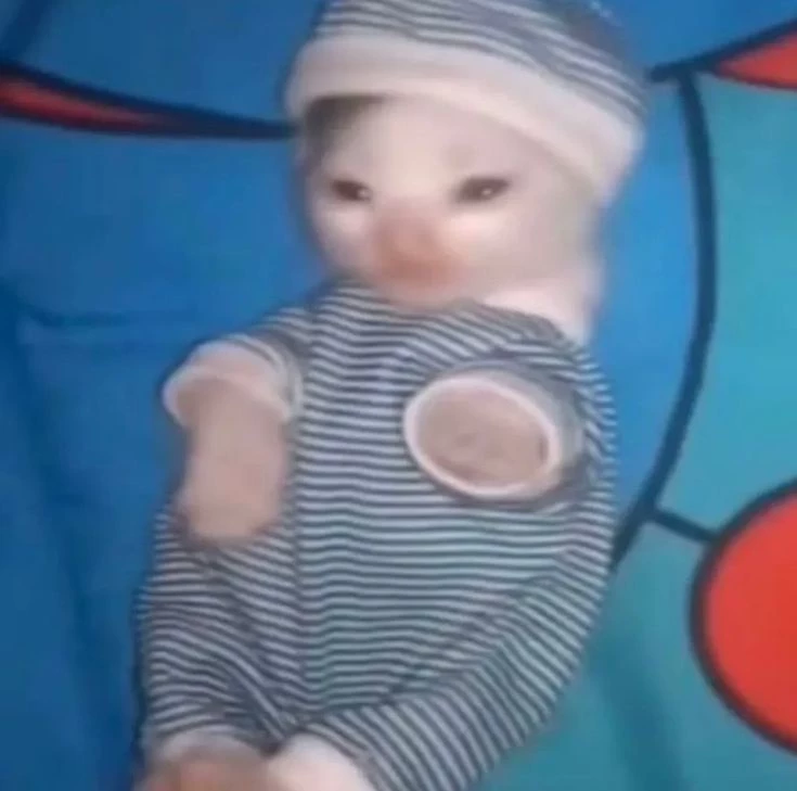 Cat that listens thumbnail