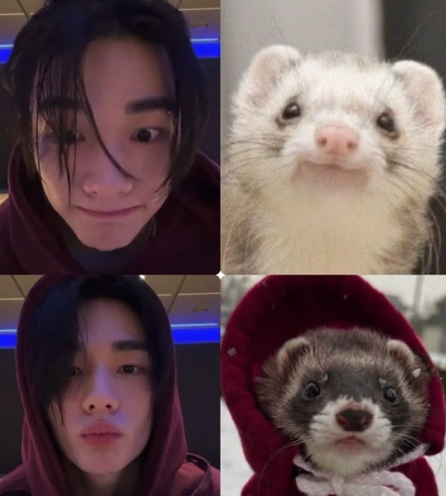 Hyunjin - Hybrid - In love with a human thumbnail