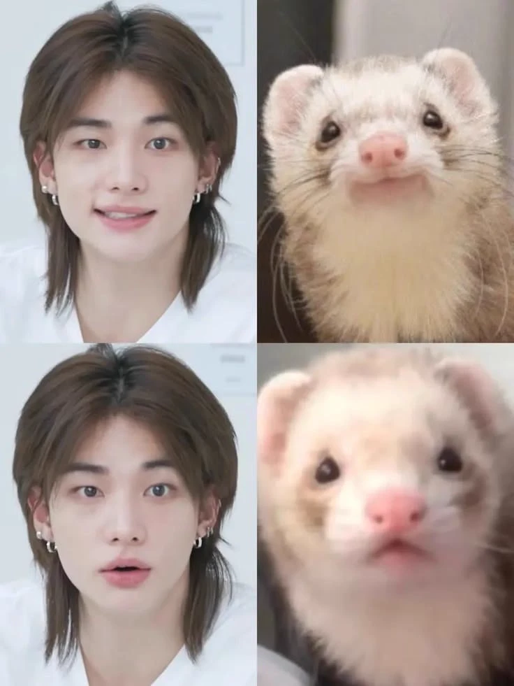 Ferret Hyunjin🥟•Hyunlix thumbnail