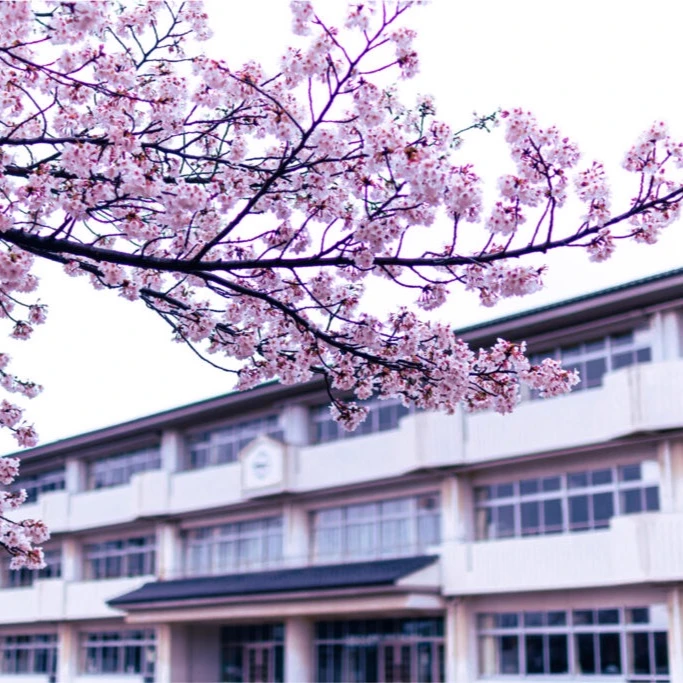 School of Love thumbnail