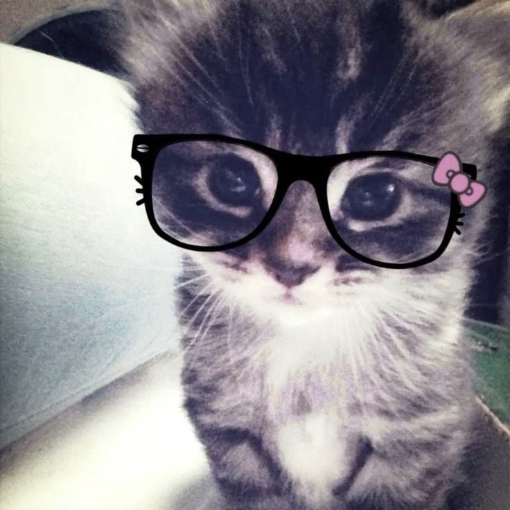 Maemae Mii
