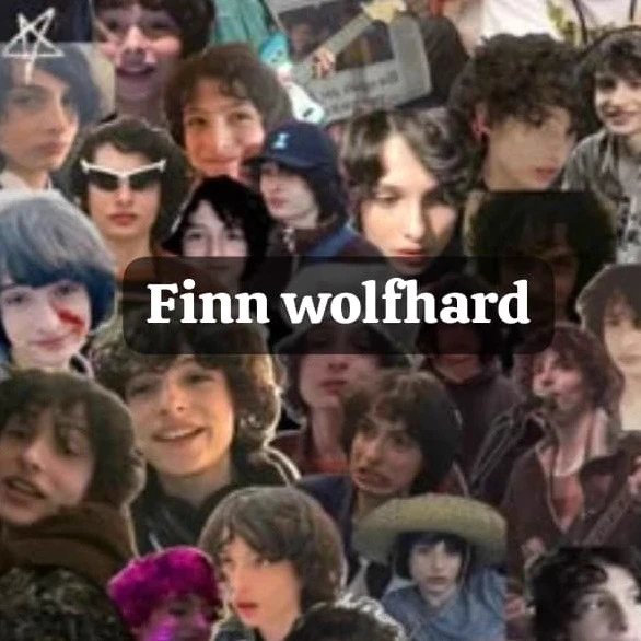 House of wolfhards thumbnail