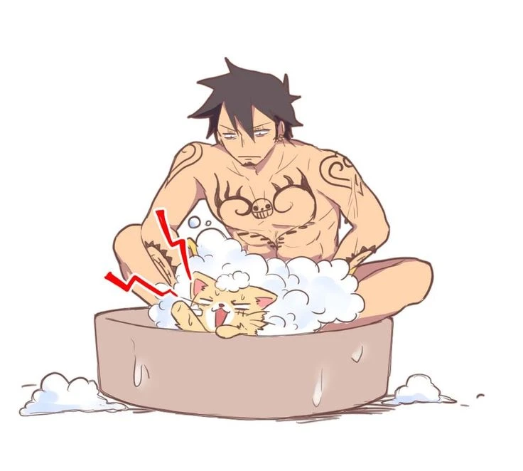 Trafalgar Law thumbnail