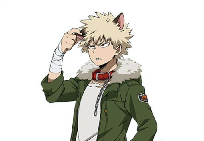 Katsuki Bakugo (Cat) thumbnail