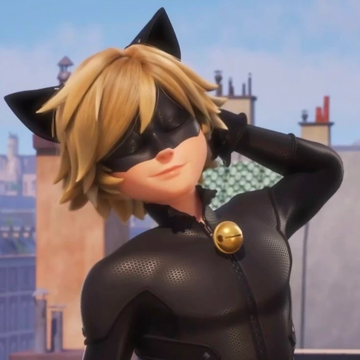 Cat Noir ‘ 🐈‍⬛ thumbnail