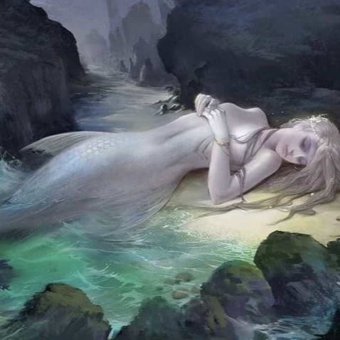 The mermaid 🐚.. thumbnail