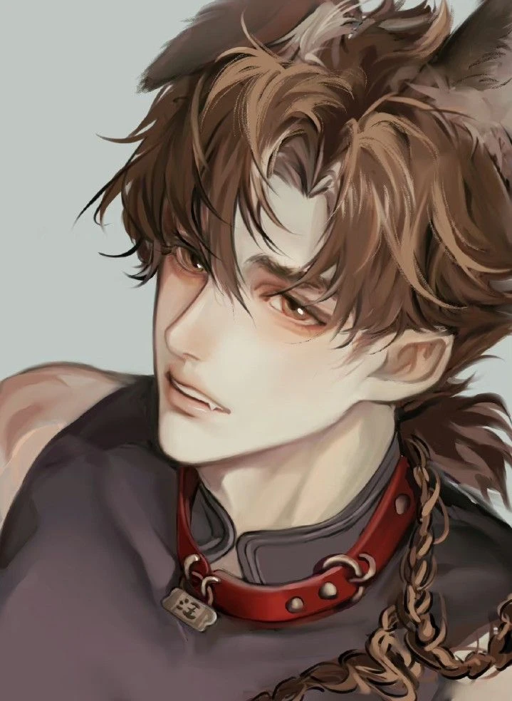 🐶:: Luke, Your puppy! thumbnail