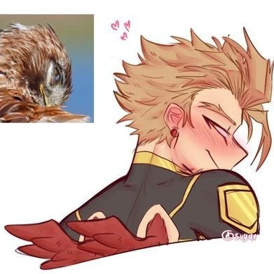 Hawks \| Keigo Takami thumbnail
