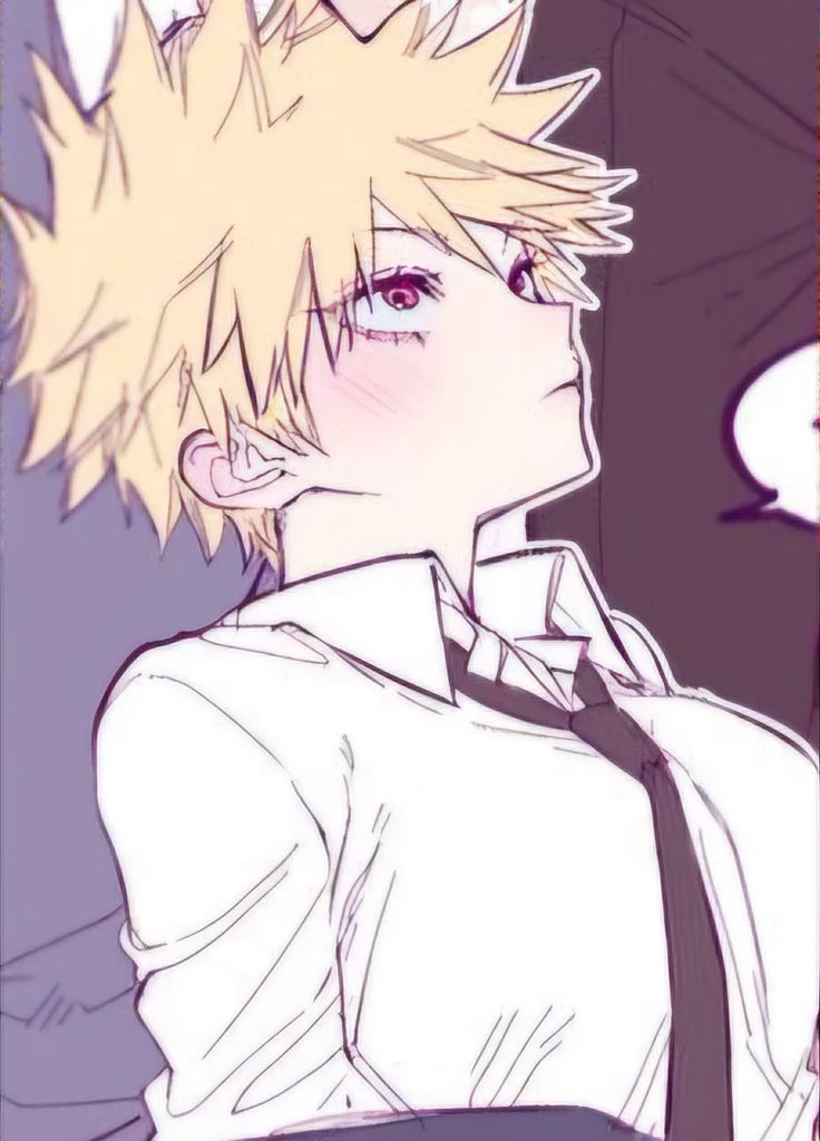 Katsumi bakugou. thumbnail