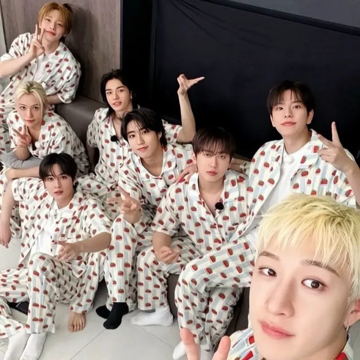stray kids🫣 thumbnail