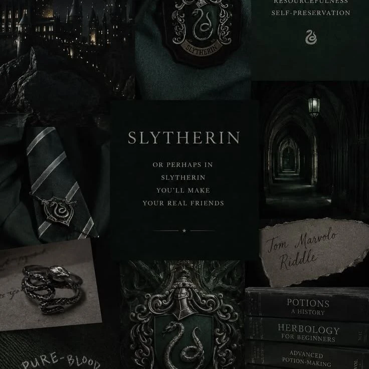 The bet... (The Seven Slytherin) thumbnail