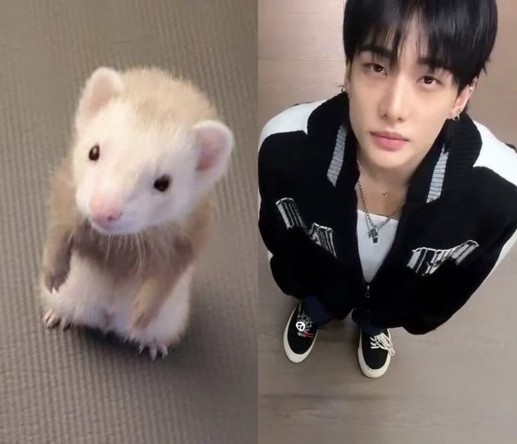 Hyunjin - Hyunlix thumbnail