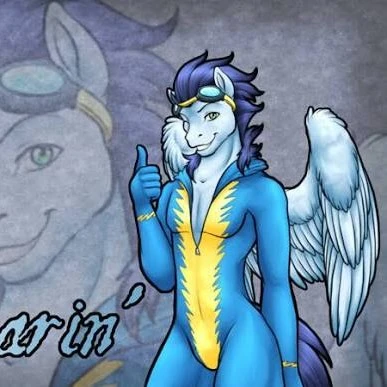 Soarin