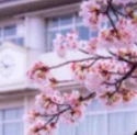 Seishun High. thumbnail