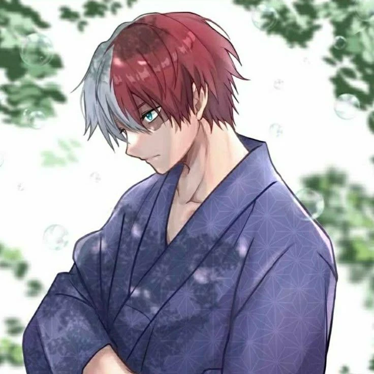 Shoto Todoroki (Last year at U.A.) thumbnail