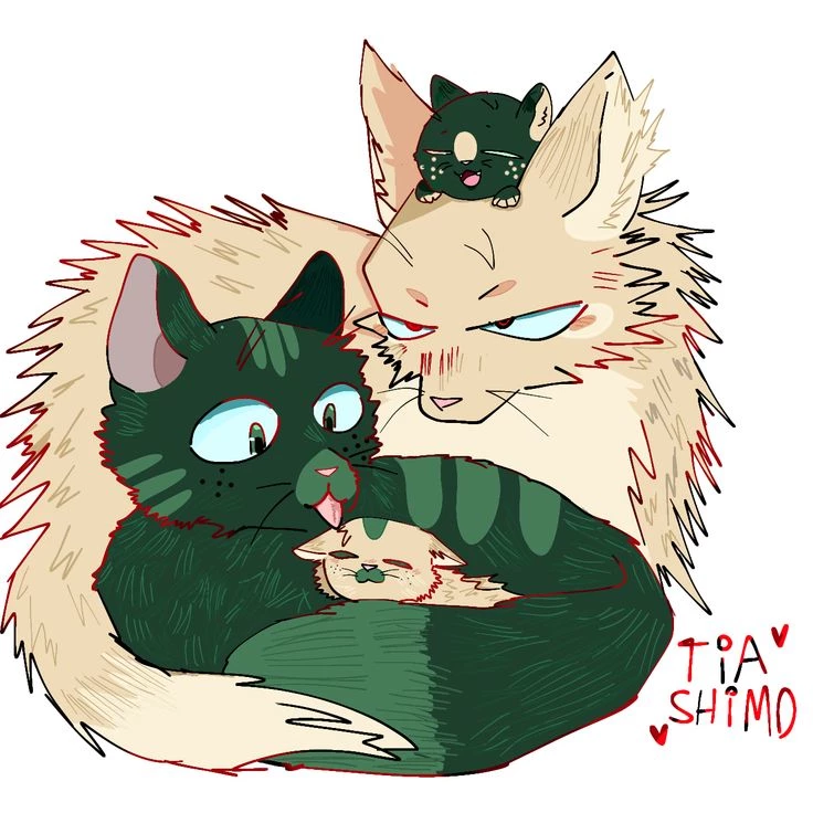 Bkdk _cat thumbnail