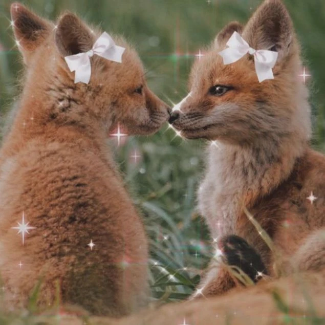 family of foxes thumbnail