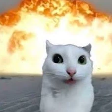 Owo Owo