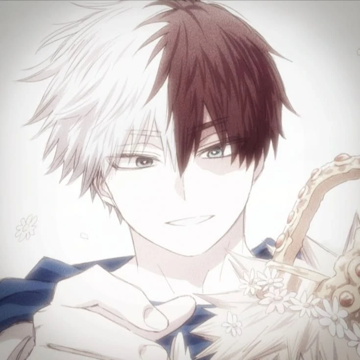 °•Shoto Todoroki - He fell in love. thumbnail