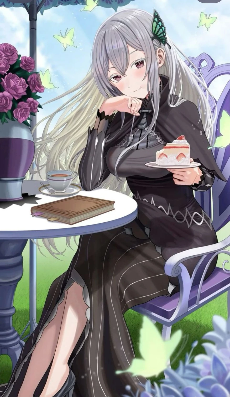 Echidna. thumbnail