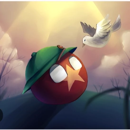 Vietnamball thumbnail