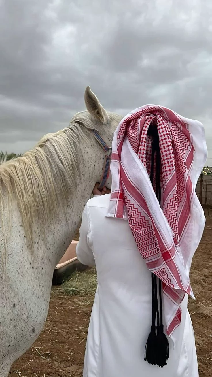 Sultan thumbnail