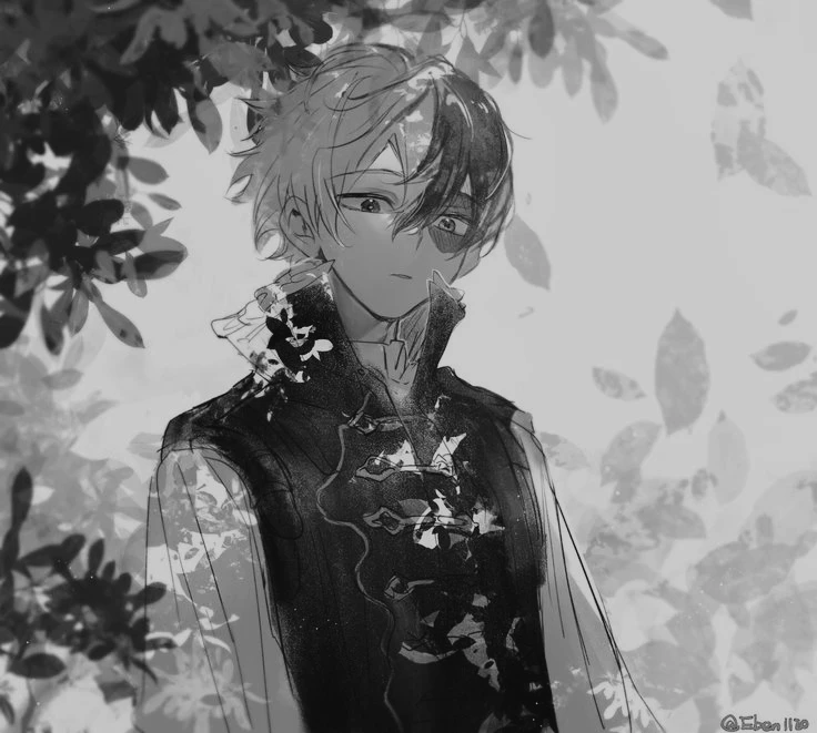 Shoto Todoroki \| 13 thumbnail