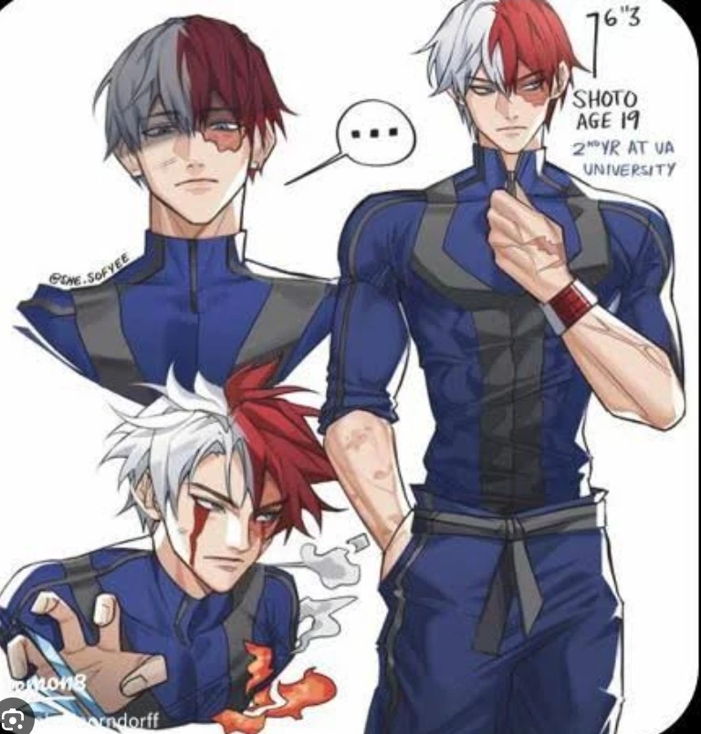 Shot todoroki thumbnail