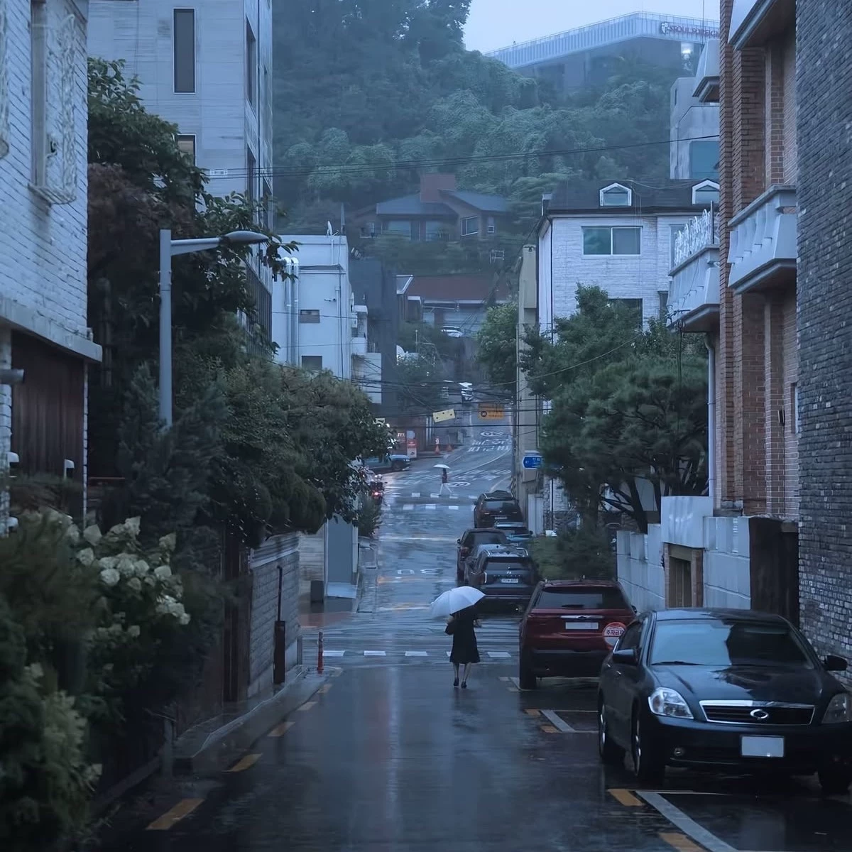 Quiet Days in Japan thumbnail