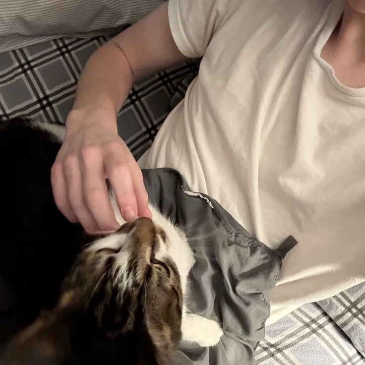 Liam Anderson thumbnail