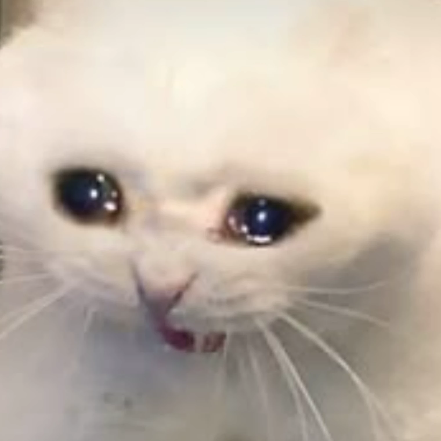 Komi