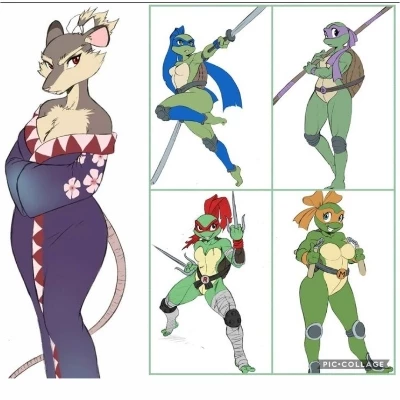 The Mutant Turtle Kunoichi and Mother Splinter thumbnail