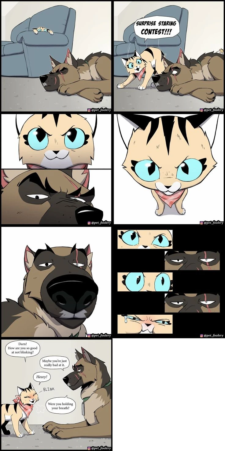 Pixie and Brutus thumbnail