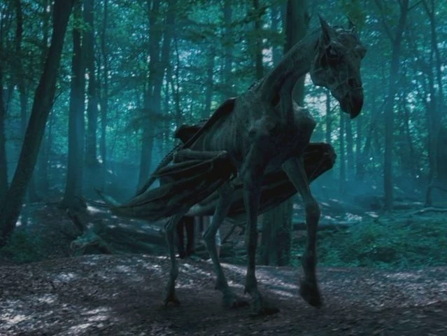 Hogwarts Creatures thumbnail